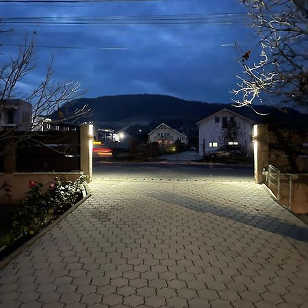 Pensiune Casamircea Bistriţa エクステリア 写真