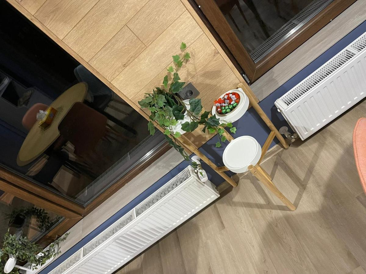 Pensiune Casamircea Bistriţa エクステリア 写真