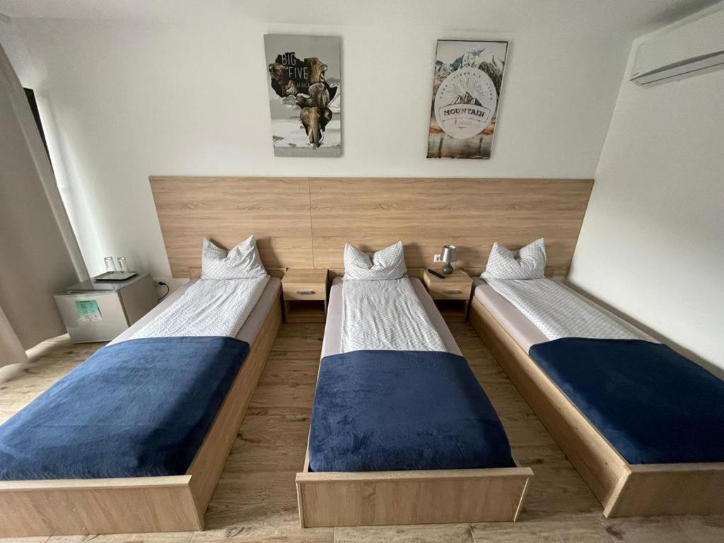 Pensiune Casamircea Bistriţa エクステリア 写真