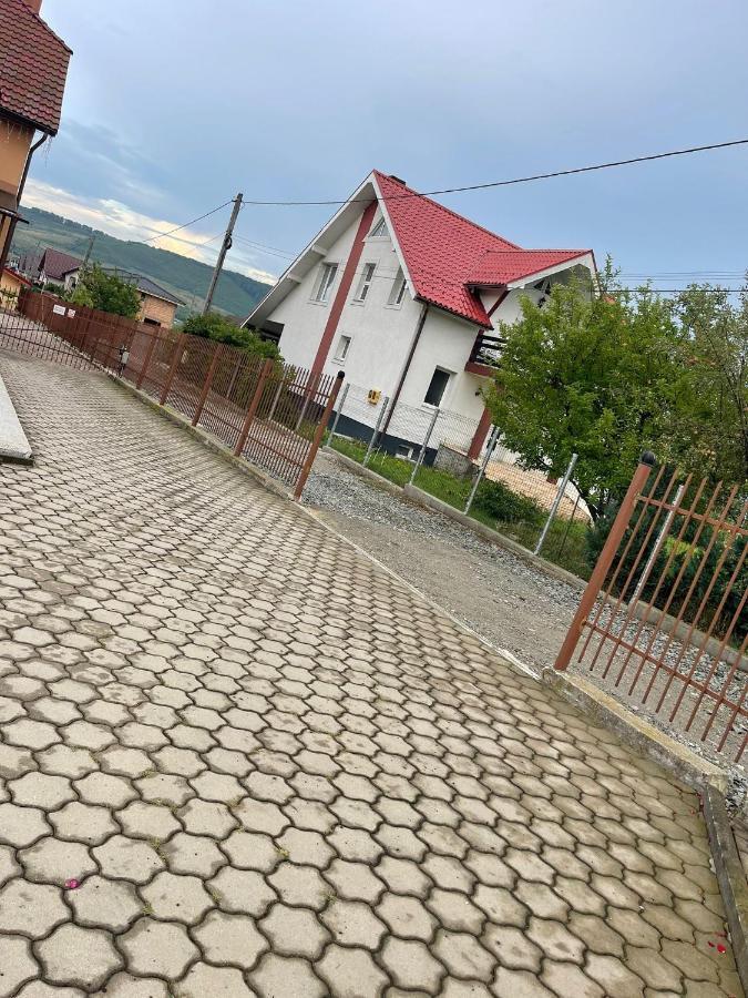 Pensiune Casamircea Bistriţa エクステリア 写真