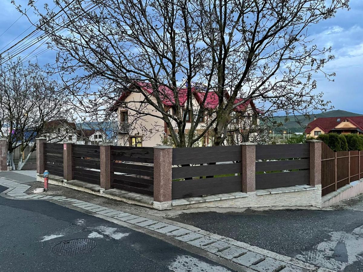 Pensiune Casamircea Bistriţa エクステリア 写真