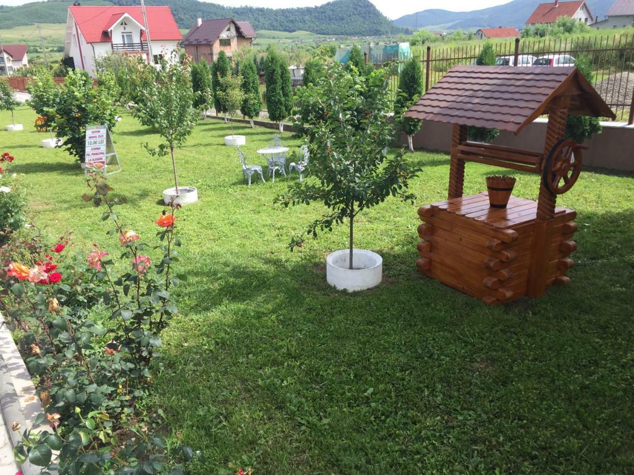 Pensiune Casamircea Bistriţa エクステリア 写真
